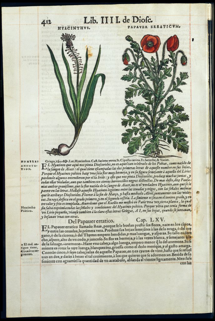 De Materia Medica de Dioscorides. Amberes 1555. Libro IIII. 412