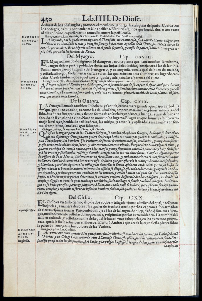 De Materia Medica de Dioscorides. Andres Laguna. Amberes 1555. Libro IIII. 450