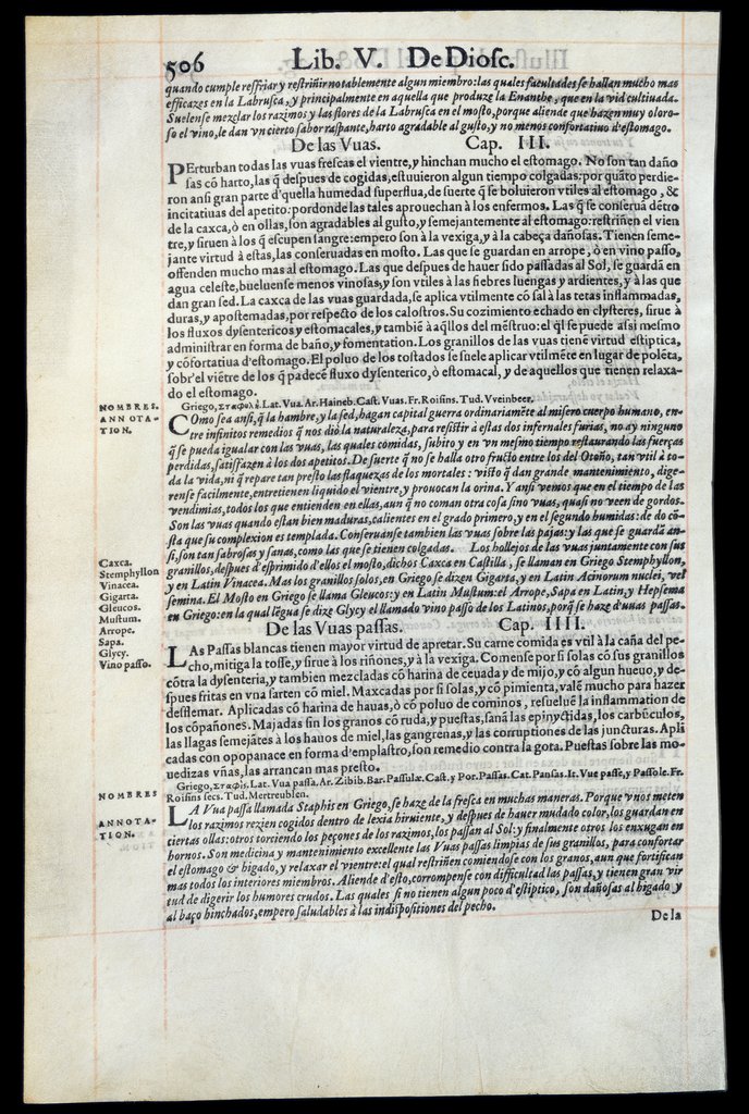 De Materia Medica de Dioscorides. Andres Laguna. Amberes 1555. Libro V. 506