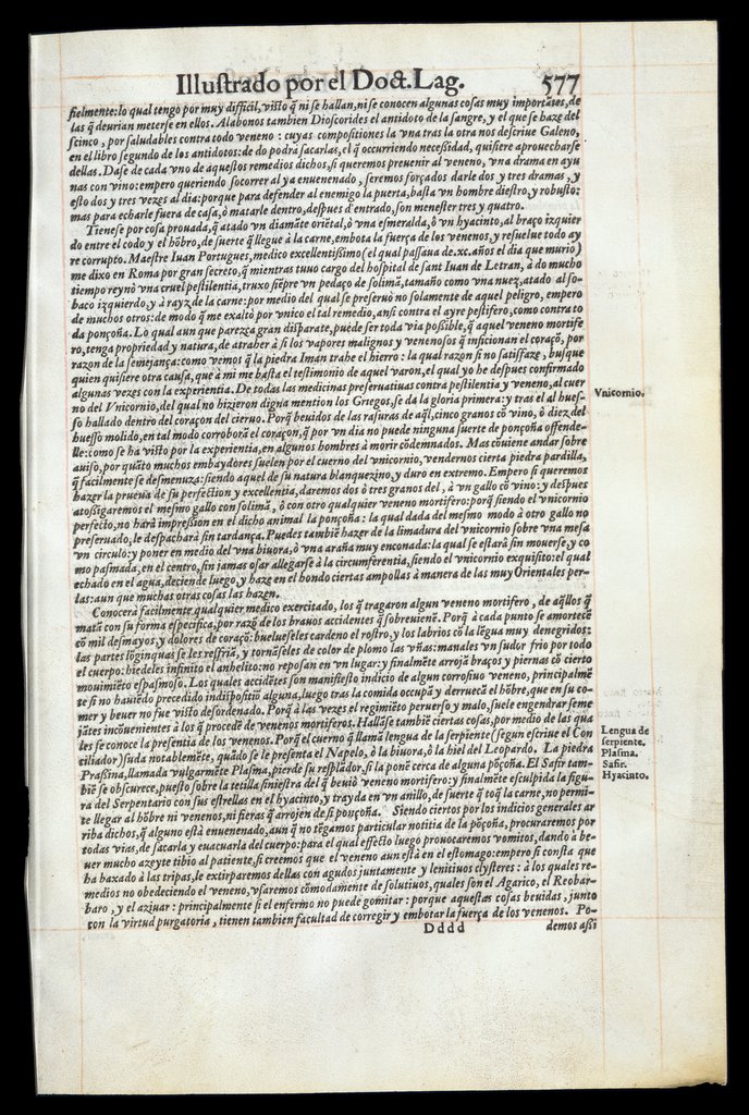 De Materia Medica de Dioscorides. Andres Laguna. Amberes 1555. Libro VI. 577
