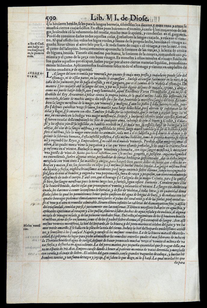 De Materia Medica de Dioscorides. Andres Laguna. Amberes 1555. Libro VI. 590