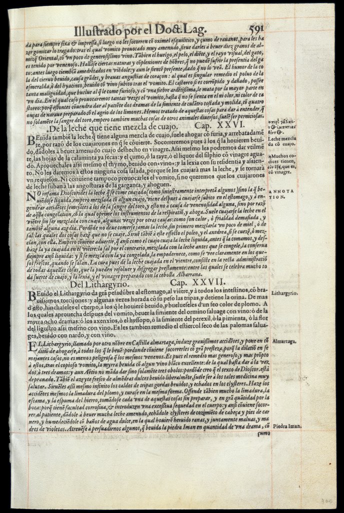 De Materia Medica de Dioscorides. Andres Laguna. Amberes 1555. Libro VI. 591