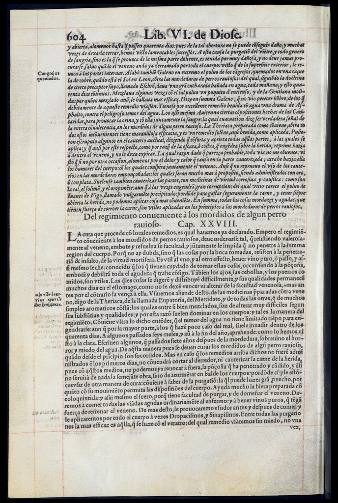 De Materia Medica de Dioscorides. Andres Laguna. Amberes 1555. Libro VI. 604