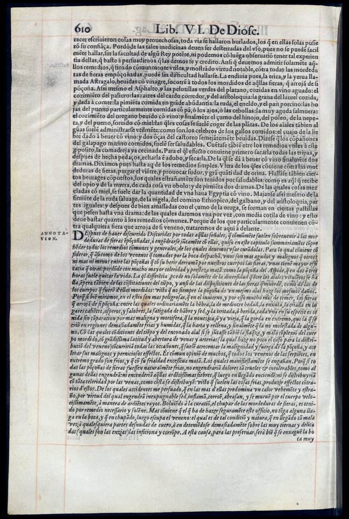 De Materia Medica de Dioscorides. Andres Laguna. Amberes 1555. Libro VI. 610