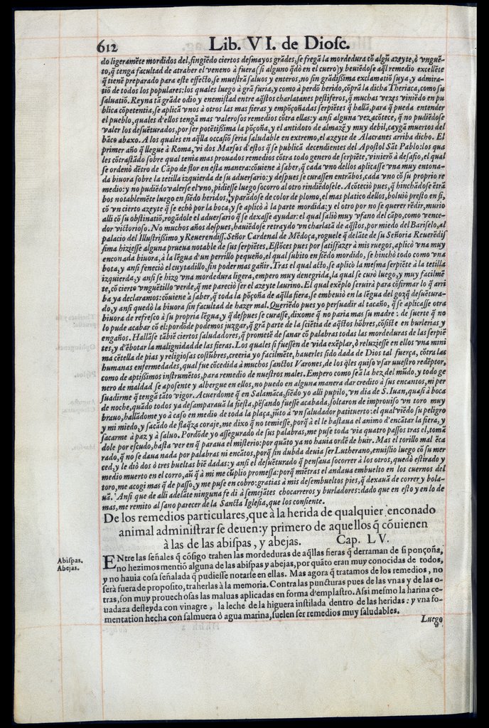 De Materia Medica de Dioscorides. Andres Laguna. Amberes 1555. Libro VI. 612