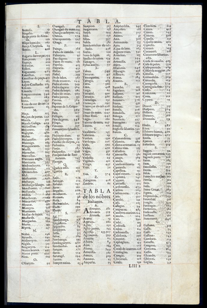 De Materia Medica de Dioscorides. Andres Laguna. Amberes 1555. Libro VI. 635