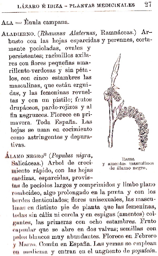 Plantas Medicinales. Blas Lazaro Ibiza. Índice alfabético de plantas. A