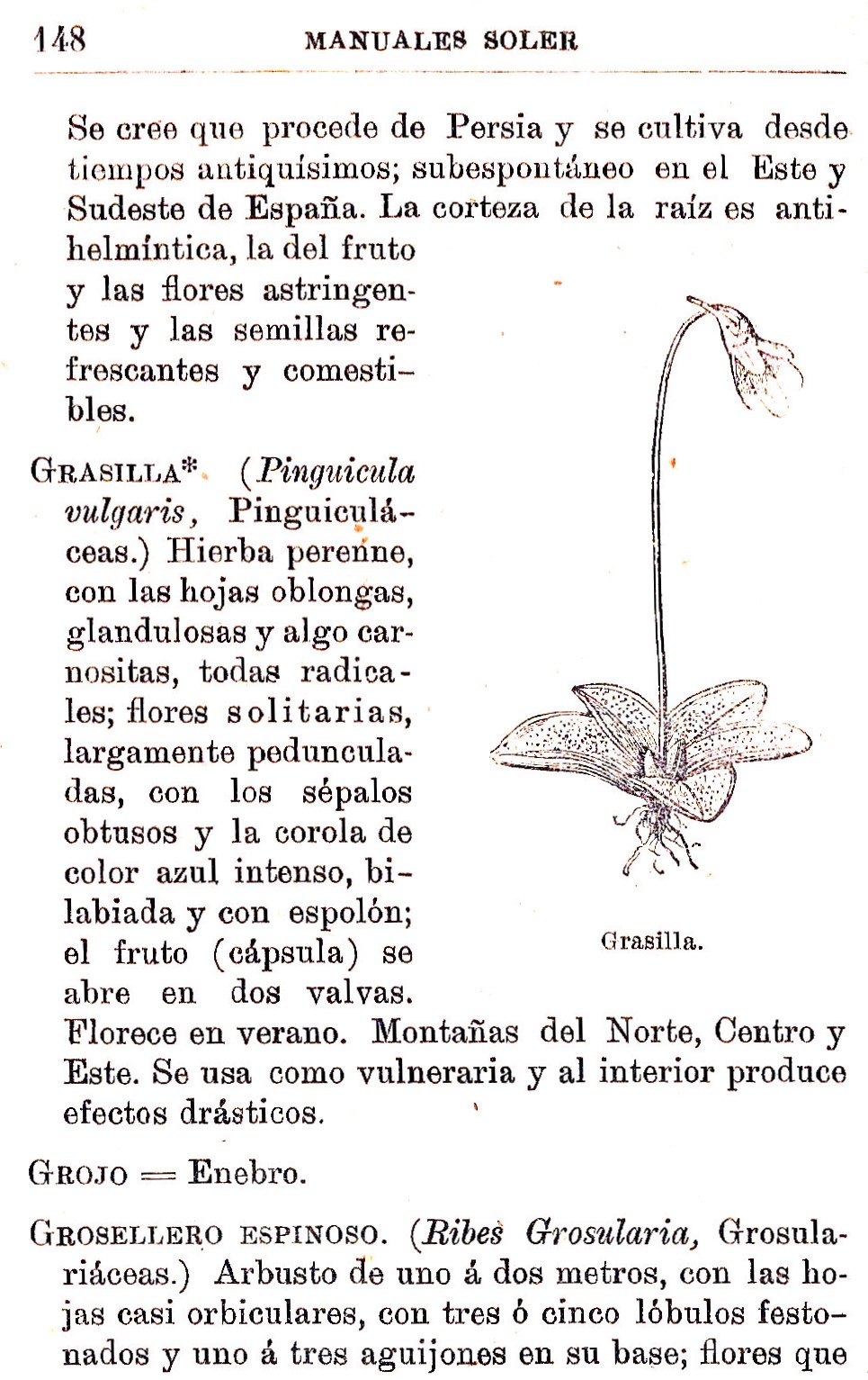 Plantas Medicinales. Blas Lazaro Ibiza. Índice alfabético de plantas. G. Grasilla.