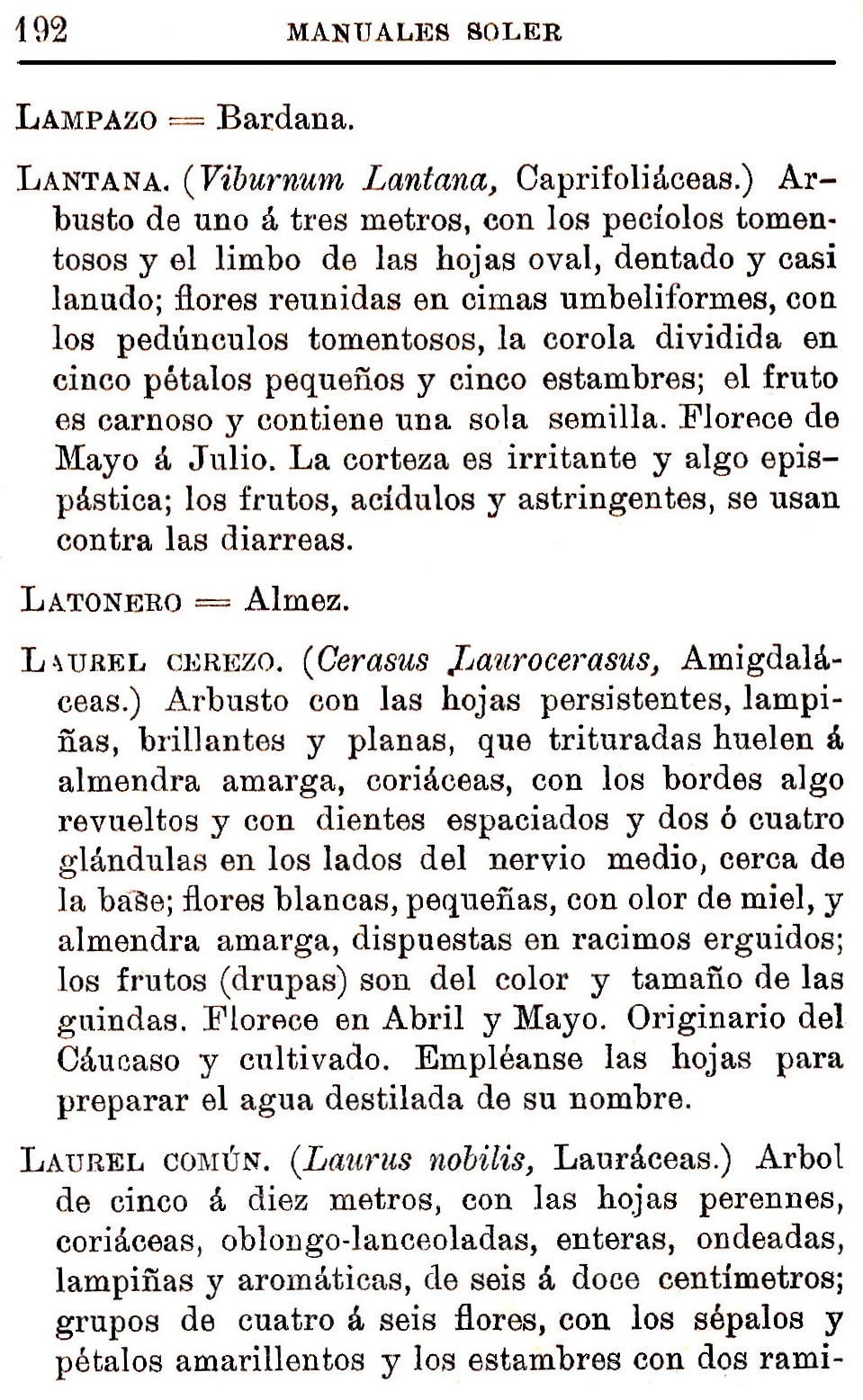 Plantas Medicinales. Blas Lazaro Ibiza. Índice alfabético de plantas. L. Lampazo.