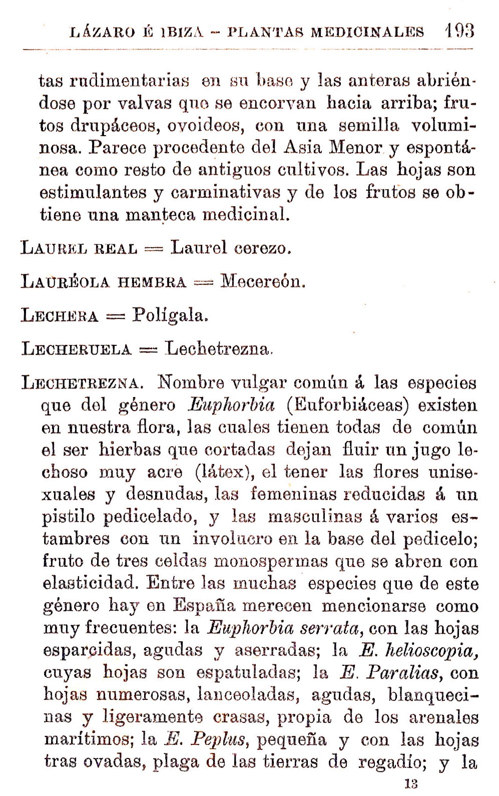 Plantas Medicinales. Blas Lazaro Ibiza. Índice alfabético de plantas. L. Laurel real.