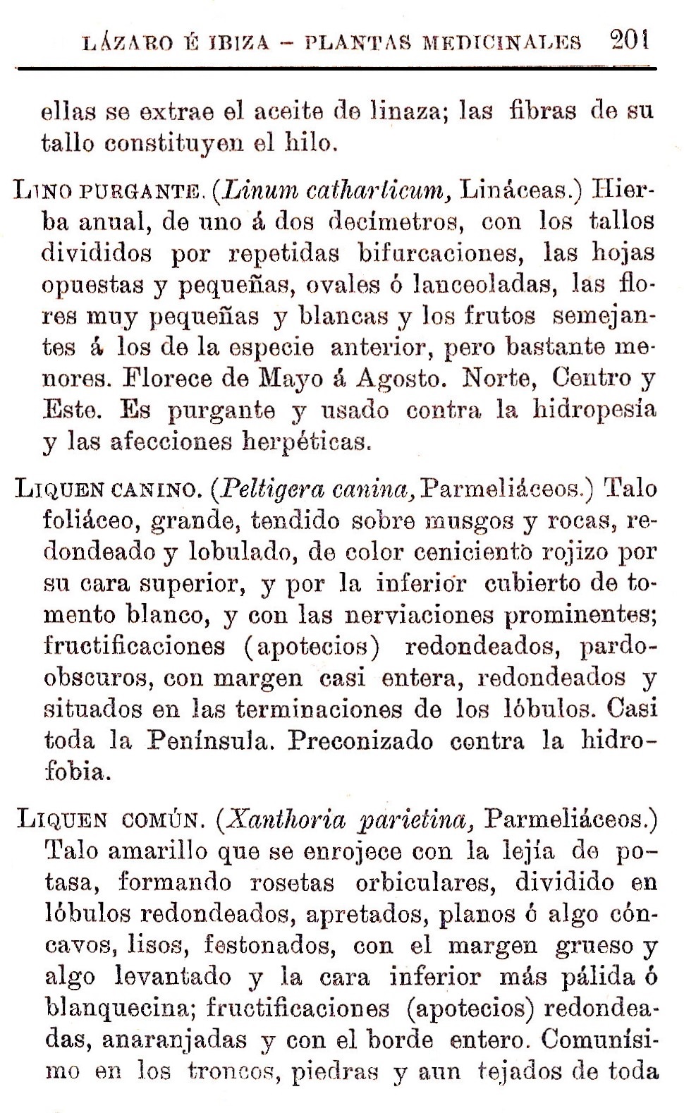 Plantas Medicinales. Blas Lazaro Ibiza. Índice alfabético de plantas. L. Lino purgante.