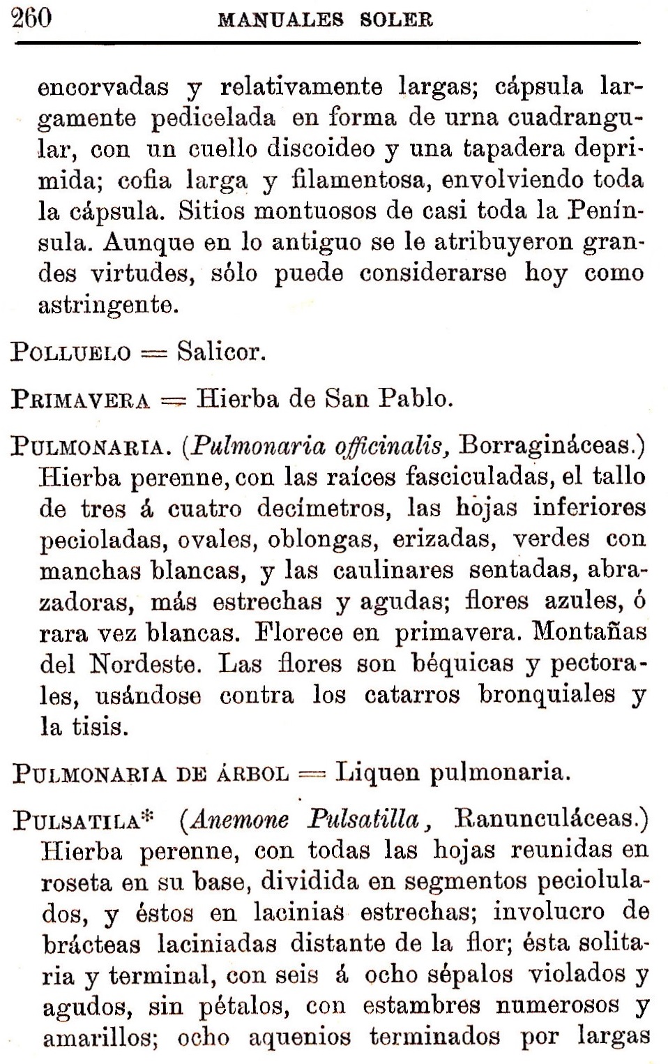 Plantas Medicinales. Blas Lazaro Ibiza. Índice alfabético de plantas. P. Polluelo.