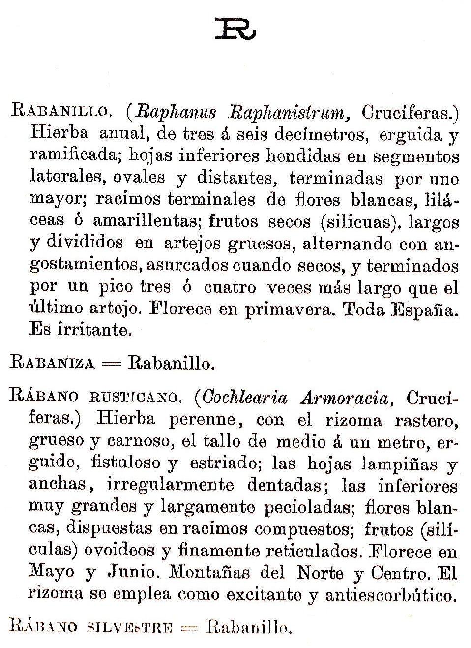 Plantas Medicinales. Blas Lazaro Ibiza. Índice alfabético de plantas. R. Rabanillo.