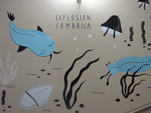 Museo Ciencias Naturales de Zaragoza. 3