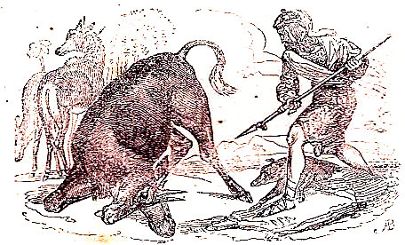 Lucha entre pastor y animal salvaje