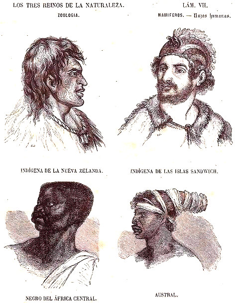 Lámina 7. Las Razas Humanas. Mamíferos. Zoología. Buffon: Los tres Reinos de la Naturaleza.