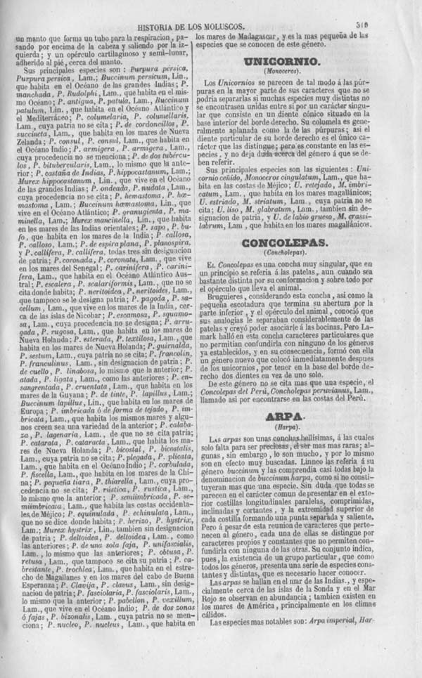 Página 319. Tomo séptimo. Los Tres Reinos de la Naturaleza. Museo Pintoresco. Zoología. Invertebrados. Moluscos.