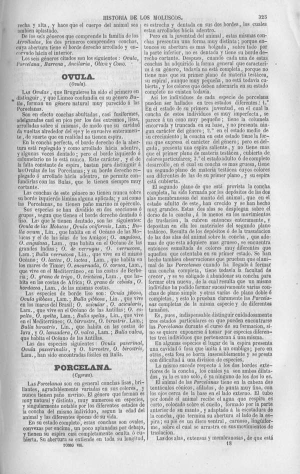 Página 325. Tomo séptimo. Los Tres Reinos de la Naturaleza. Museo Pintoresco. Zoología. Invertebrados. Moluscos.