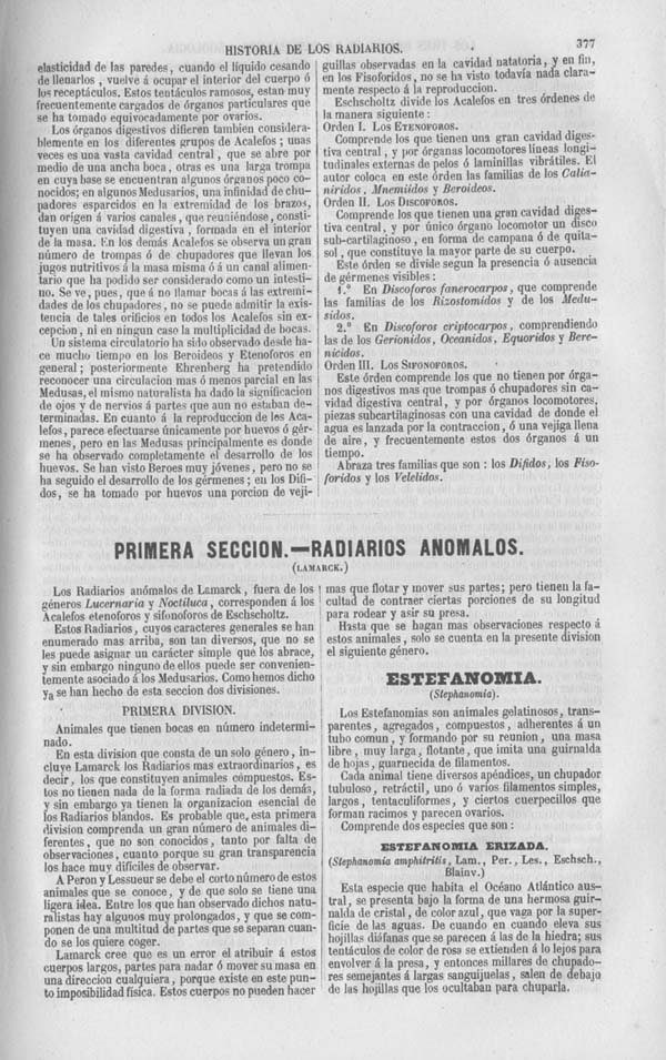 Página 377. Tomo séptimo. Los Tres Reinos de la Naturaleza. Museo Pintoresco. Zoología. Invertebrados. Radiarios.
