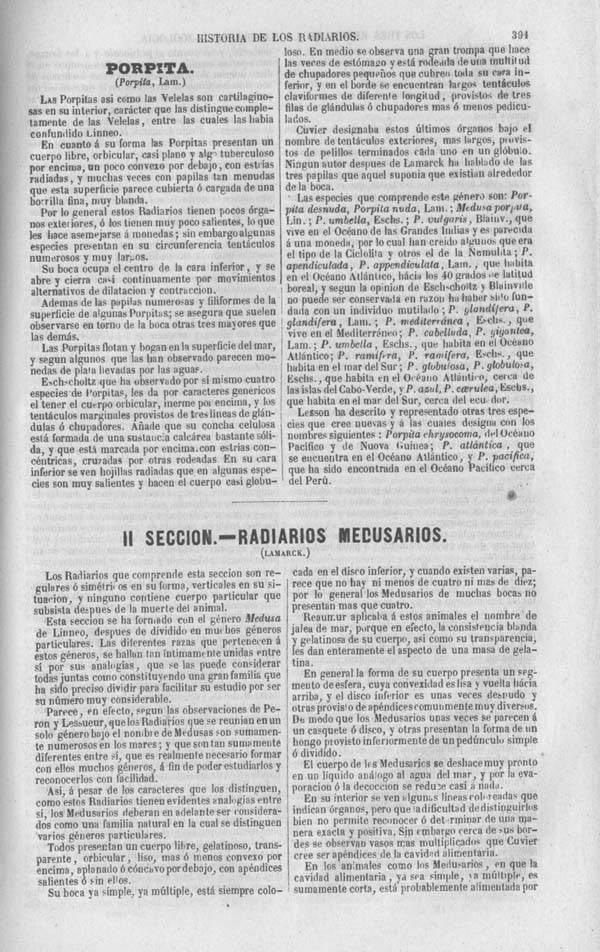 Página 391. Tomo séptimo. Los Tres Reinos de la Naturaleza. Museo Pintoresco. Zoología. Invertebrados. Radiarios.