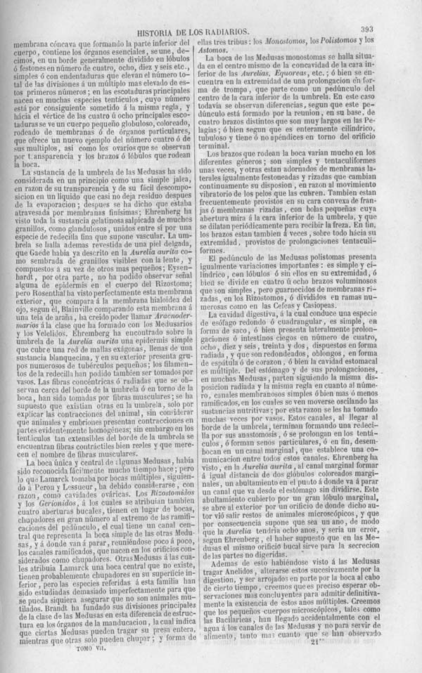 Página 393. Tomo séptimo. Los Tres Reinos de la Naturaleza. Museo Pintoresco. Zoología. Invertebrados. Radiarios.