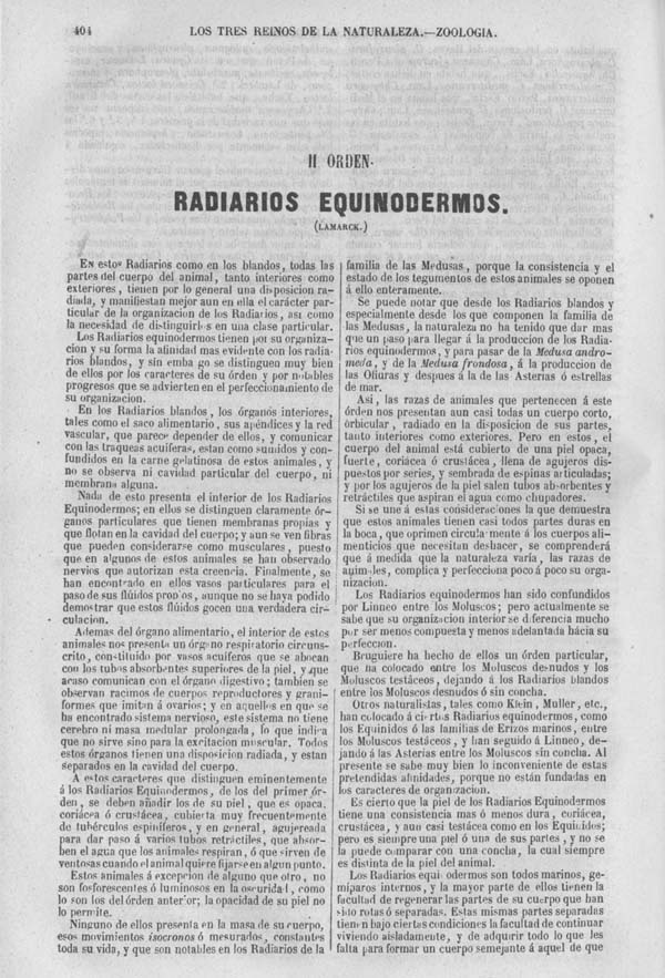 Página 404. Tomo séptimo. Los Tres Reinos de la Naturaleza. Museo Pintoresco. Zoología. Invertebrados. Radiarios.