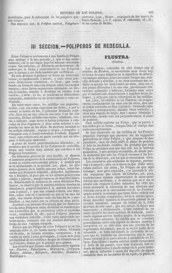 Página 463. Tomo séptimo. Los Tres Reinos de la Naturaleza. Museo Pintoresco. Zoología. Invertebrados. Pólipos.