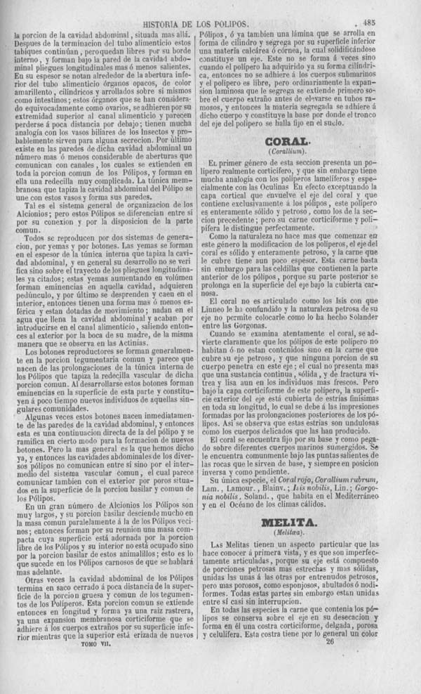 Página 485. Tomo séptimo. Los Tres Reinos de la Naturaleza. Museo Pintoresco. Zoología. Invertebrados. Pólipos.