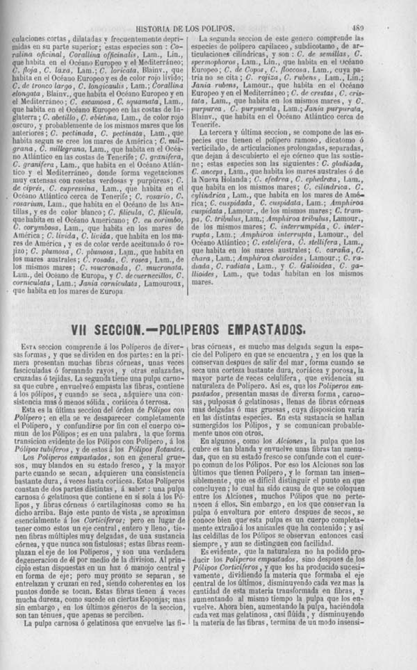 Página 489. Tomo séptimo. Los Tres Reinos de la Naturaleza. Museo Pintoresco. Zoología. Invertebrados. Pólipos.