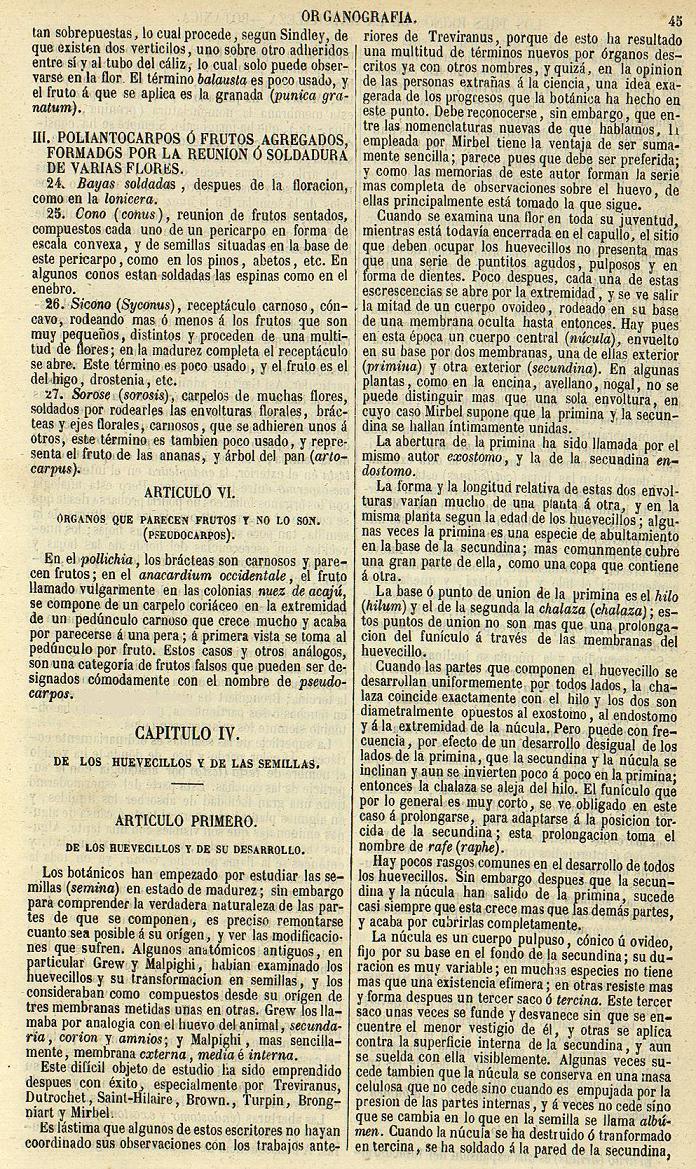 Botánica. Página 45. Los Tres Reinos de la Naturaleza. Museo Pintoresco.