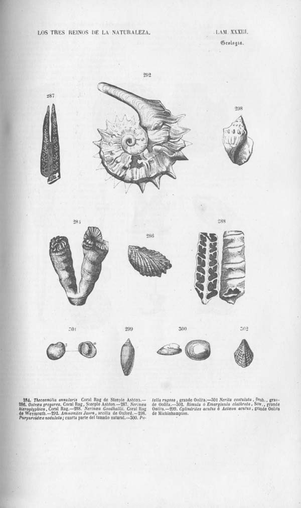 Página 433. Tomo noveno. Los Tres Reinos de la Naturaleza. Museo Pintoresco. Mineralog&iacute;a.