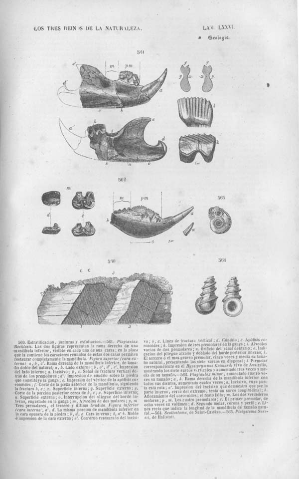 Página 572. Tomo noveno. Los Tres Reinos de la Naturaleza. Museo Pintoresco. Mineralog&iacute;a.