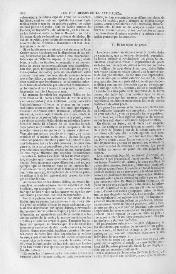 Página 600. Tomo noveno. Los Tres Reinos de la Naturaleza. Museo Pintoresco. Historia de la Geologia.