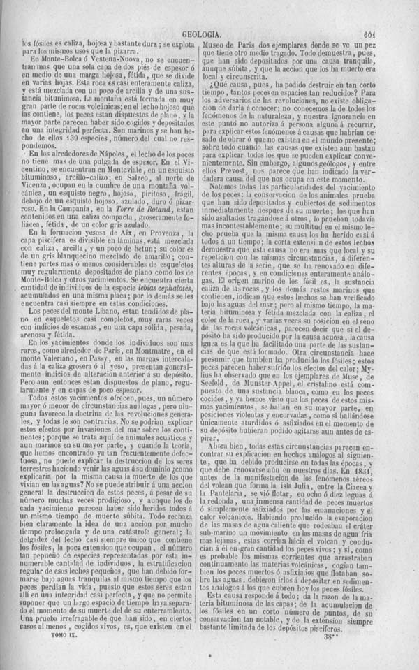 Página 601. Tomo noveno. Los Tres Reinos de la Naturaleza. Museo Pintoresco. Historia de la Geologia.