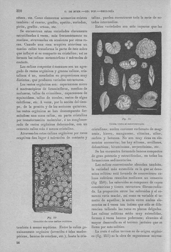 Página 320 Tomo I. Tratado V. Geología. Mineralogía especial.