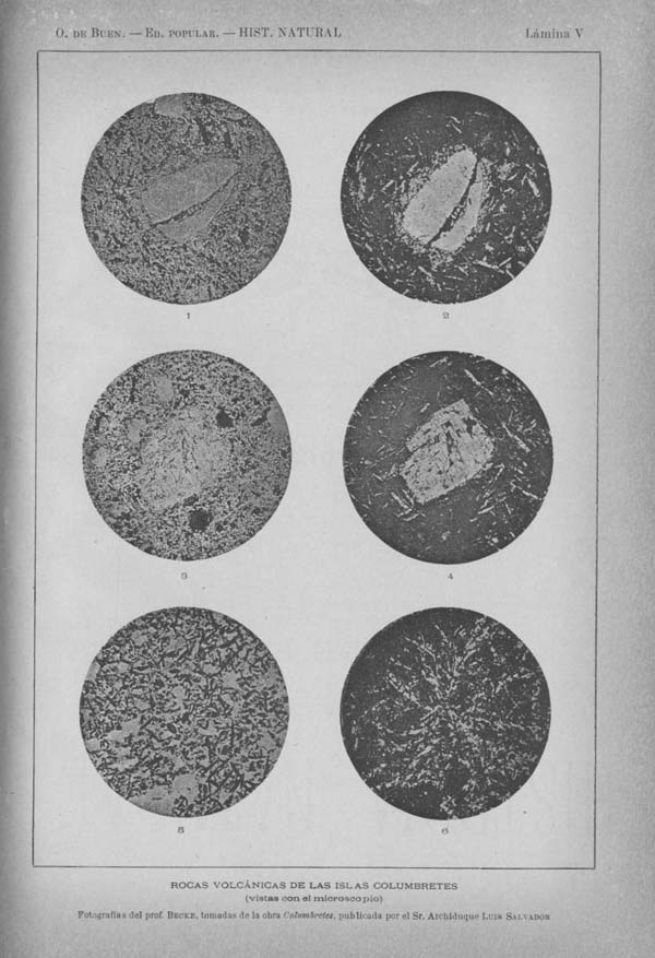 Página 411 Tomo I. Tratado VI. Geología. Las rocas y los terrenos.