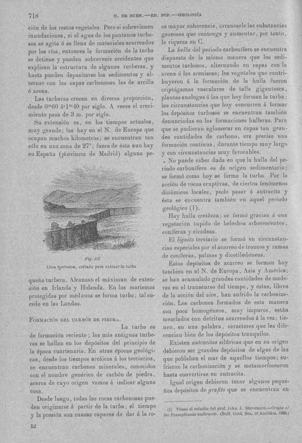 Página 718. Tomo I. Geología. Tratado XI. Labor geológica de los seres vivos.
