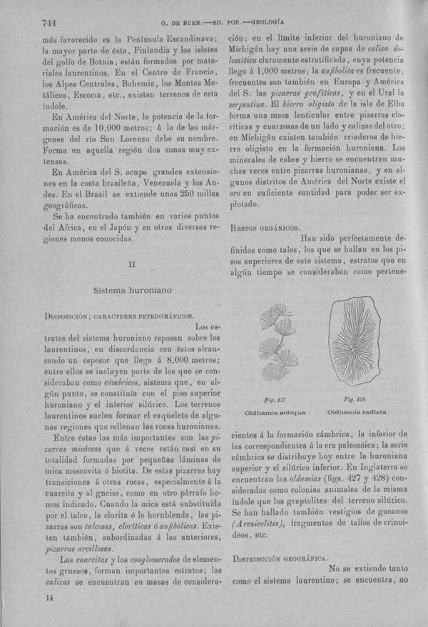 Página 744. Tomo I. Geología. Tratado XII. Geología Histórica. Descripción de los terrenos y fósiles característicos.
