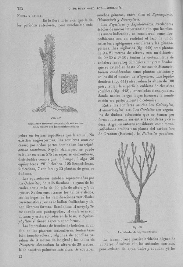 Página 752. Tomo I. Geología. Tratado XII. Geología Histórica. Descripción de los terrenos y fósiles característicos.