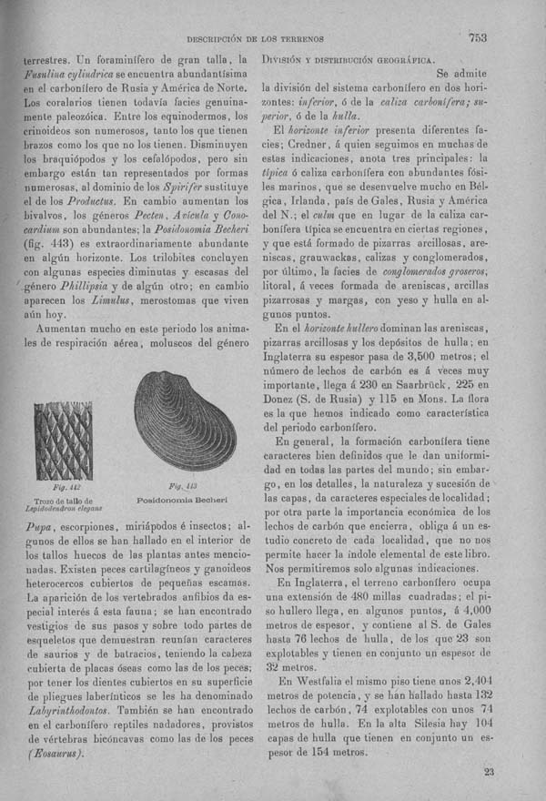 Página 753. Tomo I. Geología. Tratado XII. Geología Histórica. Descripción de los terrenos y fósiles característicos.