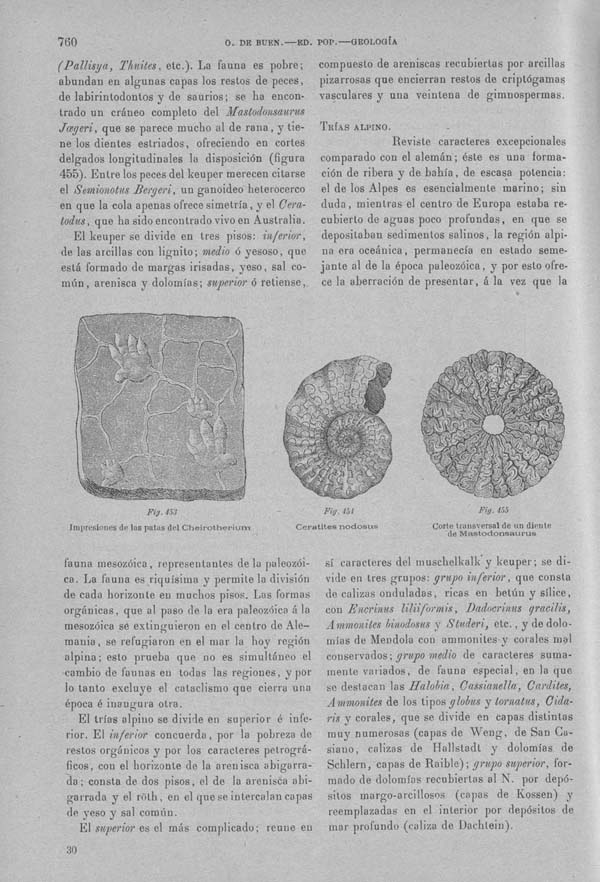 Página 760. Tomo I. Geología. Tratado XII. Geología Histórica. Descripción de los terrenos y fósiles característicos.