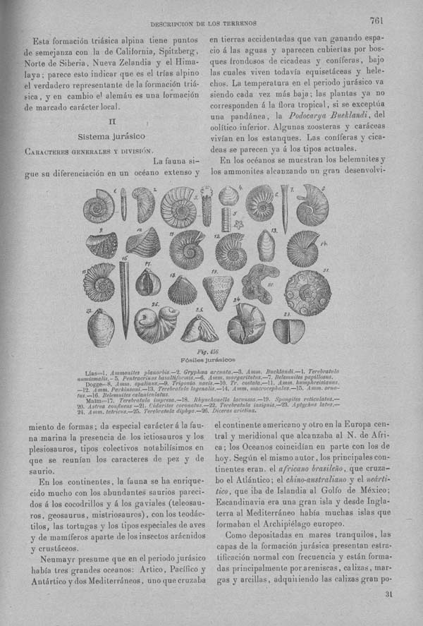 Página 761. Tomo I. Geología. Tratado XII. Geología Histórica. Descripción de los terrenos y fósiles característicos.