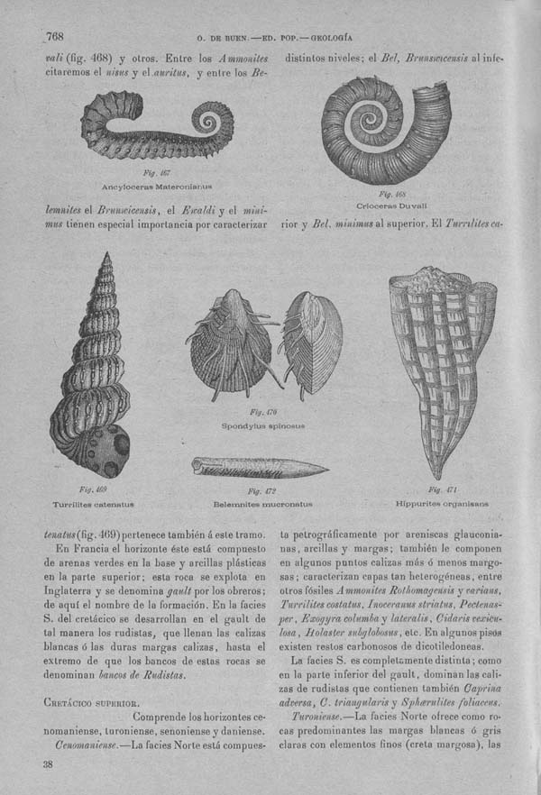 Página 768. Tomo I. Geología. Tratado XII. Geología Histórica. Descripción de los terrenos y fósiles característicos.