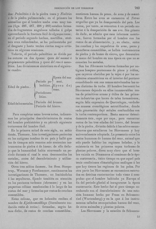 Página 782. Tomo I. Geología. Tratado XII. Geología Histórica. Descripción de los terrenos y fósiles característicos.