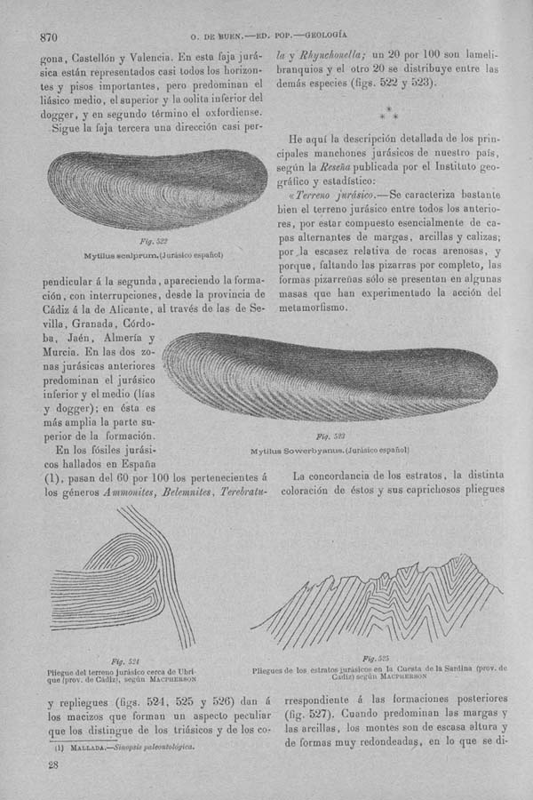 Página 870. Tomo I. Geología. Tratado XIV. Geología especial de España. (Segunda parte).