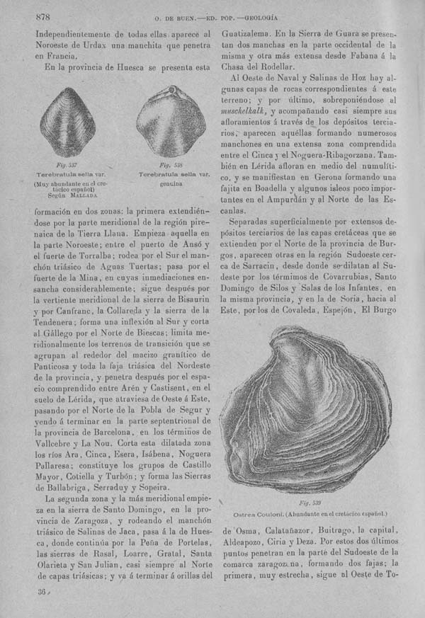 Página 878. Tomo I. Geología. Tratado XIV. Geología especial de España. (Segunda parte).