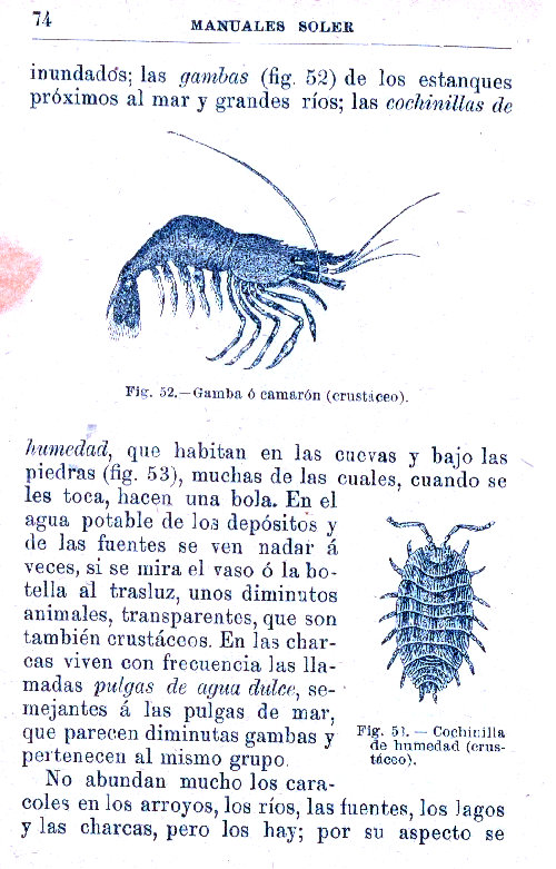 Página 74. Manual Soler 2, de Historia Natural por Odón de Buen.