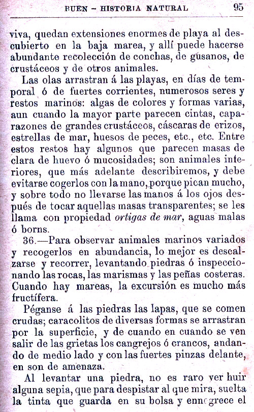 Página 95. Manual Soler 2, de Historia Natural por Odón de Buen.