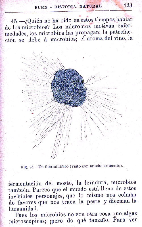Página 123. Manual Soler 2, de Historia Natural por Odón de Buen.