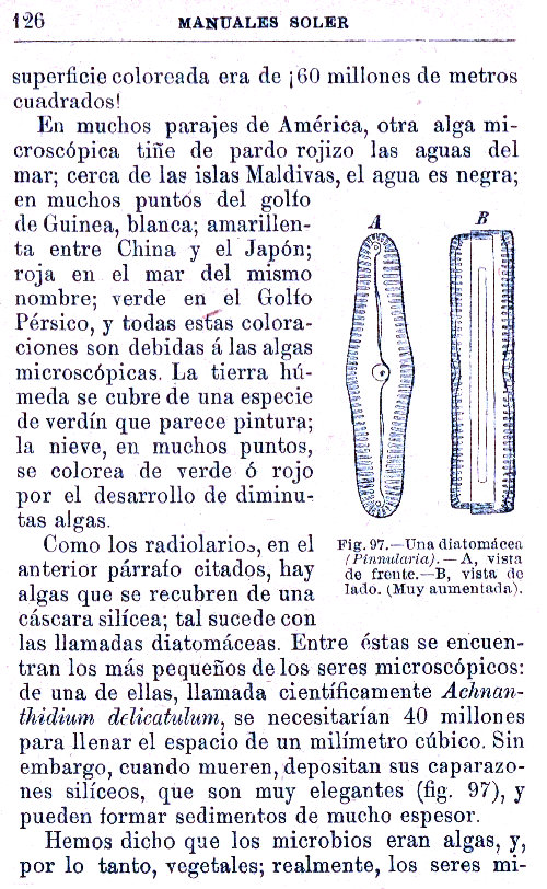 Página 126. Manual Soler 2, de Historia Natural por Odón de Buen.